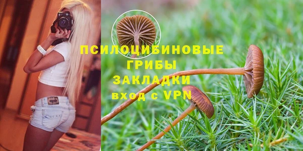 прущая мука Абаза