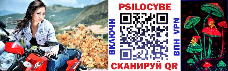 Псилоцибиновые грибы Psilocybe  mega   Северодвинск  купить наркотики цена 